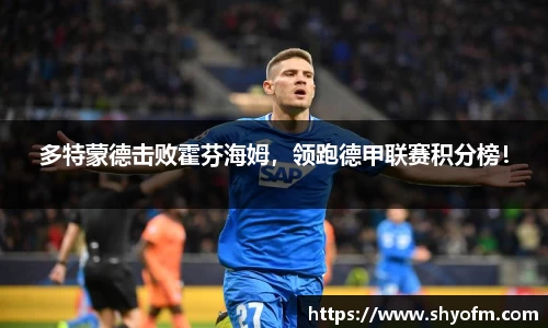 多特蒙德击败霍芬海姆，领跑德甲联赛积分榜！