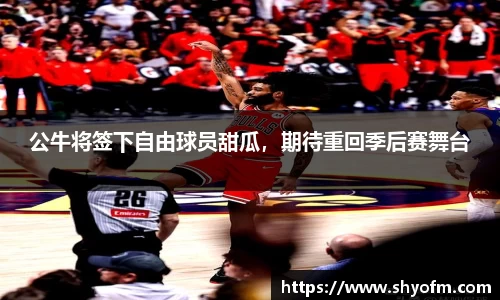 公牛将签下自由球员甜瓜，期待重回季后赛舞台